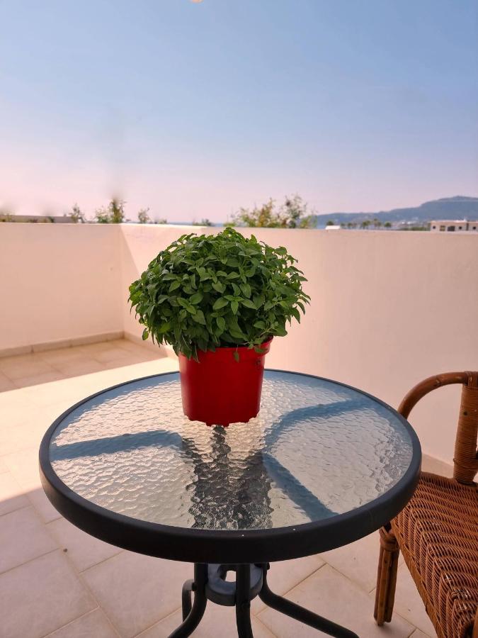 12 senses faliraki sea view Eksteriør bilde